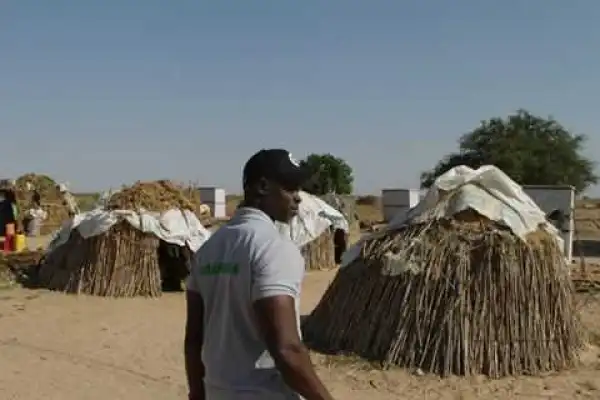 Djimon Hounsou Condemns Boko Haram & Nigerian Military After Visit To Borno.